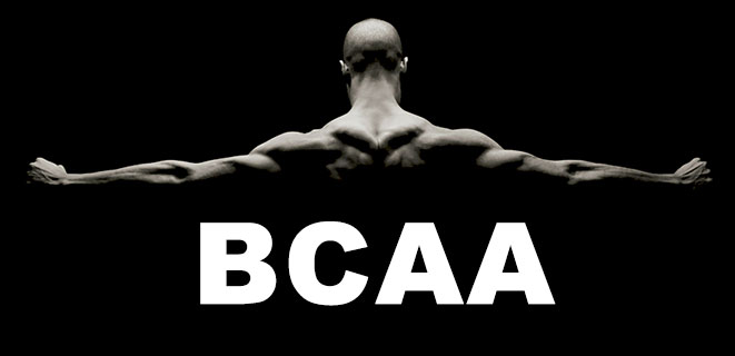 BCAAの摂取タイミング